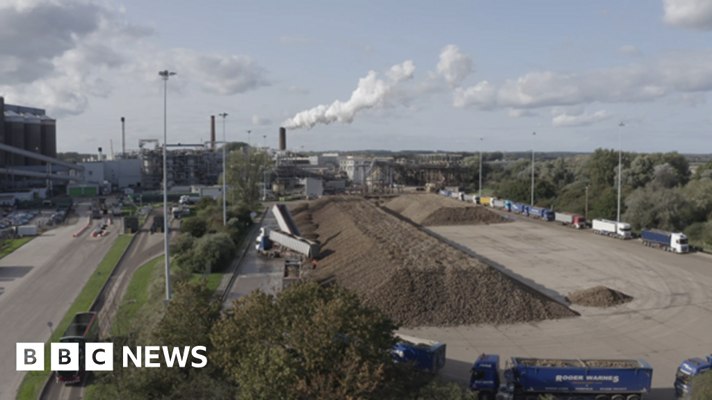 Inside Wissington: How 1,000 Growers Supply Europe's Top Sugar Site